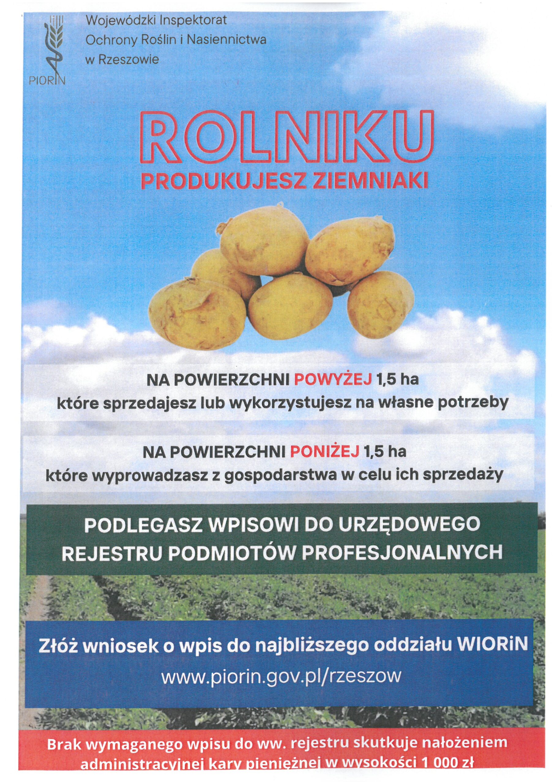 Rolniku – produkujesz ziemniaki?