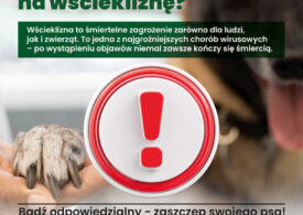 Plakat informacyjny