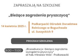 Pryszczyca - Boguchwała
